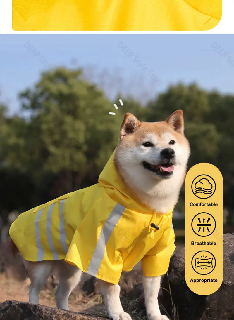 Glücklicher Shiba Inu mit gelbem, reflektierendem Regenponcho im Freien.