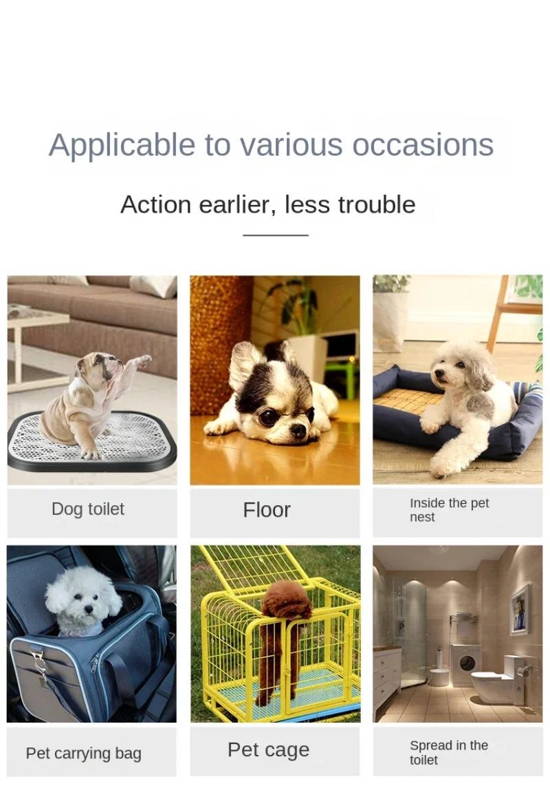 Verschiedene Einweg-Absorptionspads zum Hundetraining, für Katzentoiletten, Boden, Nester, Taschen und Käfige