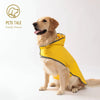 A golden retriever wearing a yellow all-weather dual-sided dog raincoat.