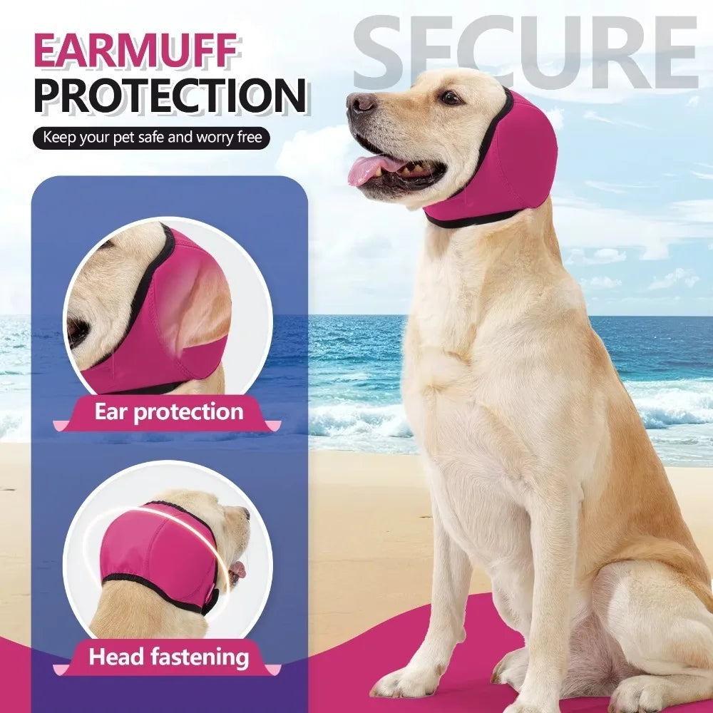 A golden retriever wearing a pink earmuff for ear protection and head fastening.