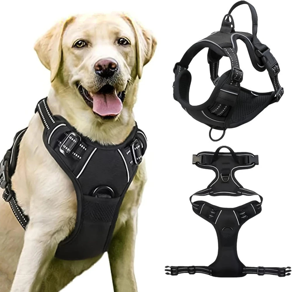 A padded black dog traction chest harness displayed next to a golden retriever.