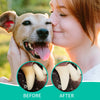 Before and after comparison of plant-based no-brush dental spray for dogs and cats on a dog's teeth