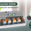 Incubateur automatique en plastique transparent avec plusieurs œufs en développement, favorisant le développement embryonnair