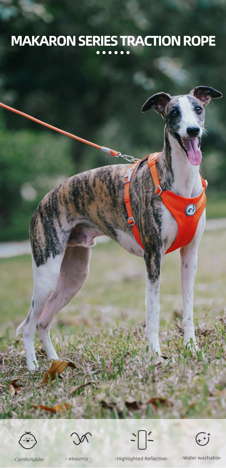 A dog wearing an orange harness standing outdoors, with text indicating the product is a Makaron Series traction rope.
