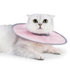 Un chat blanc duveteux portant un collier de récupération rose vétérinaire.
