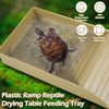 A plastic ramp reptile drying table feeding tray with an tortoise habitat bathing bowl