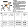 A size guide chart for a printed pet vest, showing measurements for XS to XXL sizes.
