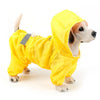 Un golden retriever portant un imperméable jaune vif avec capuche et accents gris.
