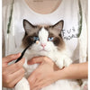 Eine Katze wird mit einer schwarzen Bürste am Auge gepflegt, während eine Person ihre Pfote hält.