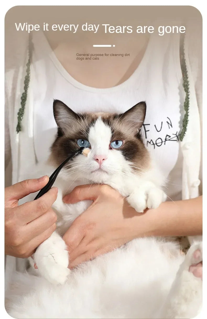 Eine Katze wird mit einer schwarzen Bürste am Auge gepflegt, während eine Person ihre Pfote hält.