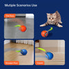 A cat playing with a colorful ball toy on various flooring surfaces including tile, wood, and carpet.