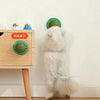 A fluffy white cat toy resembling a stick with a green top is displayed next to a wooden box.
