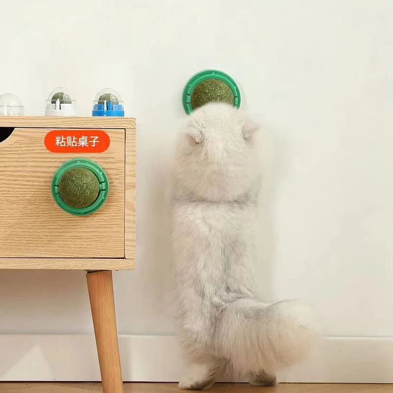A fluffy white cat toy resembling a stick with a green top is displayed next to a wooden box.