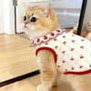 A fluffy orange tabby cat wearing a white vest with a red ruffled strawberry print collar.