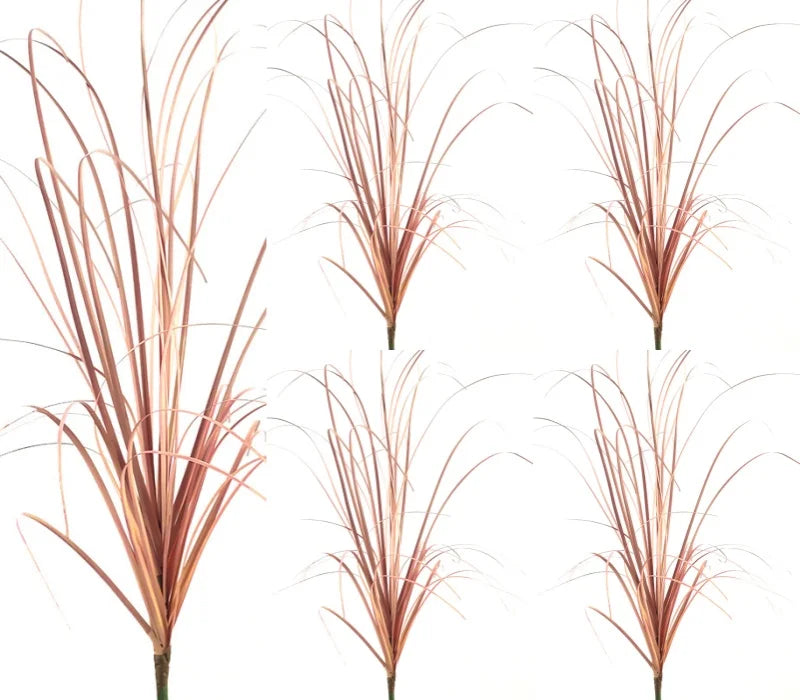 Gros plan d'un jardin miniature de herbes d'oignons séchés brun-rougeâtre.