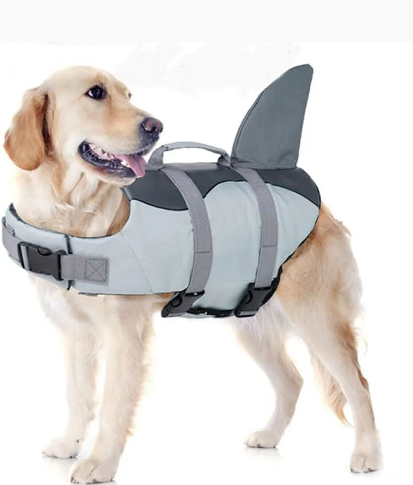 A light-colored dog wearing a gray buoyancy life jacket with a fin for swimming.