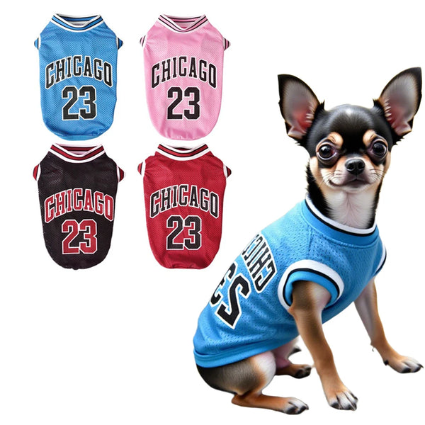 A chihuahua wearing a blue pet vest with Chicago 23 lettering, alongside various colored Chicago 23 themed shirts.