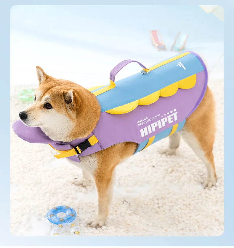 Un perro Shiba Inu vistiendo un chaleco salvavidas morado y azul para nadar en verano
