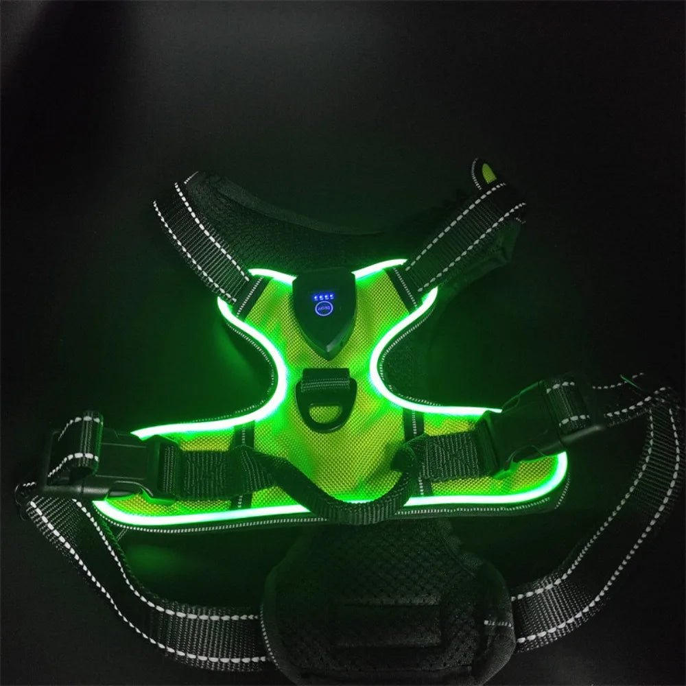 A green LED dog harness with reflective strips is displayed against a dark background.