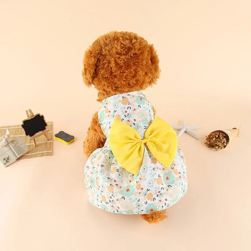 A fluffy brown dog wearing a light blue and white floral summer bow dress with a yellow bow.
