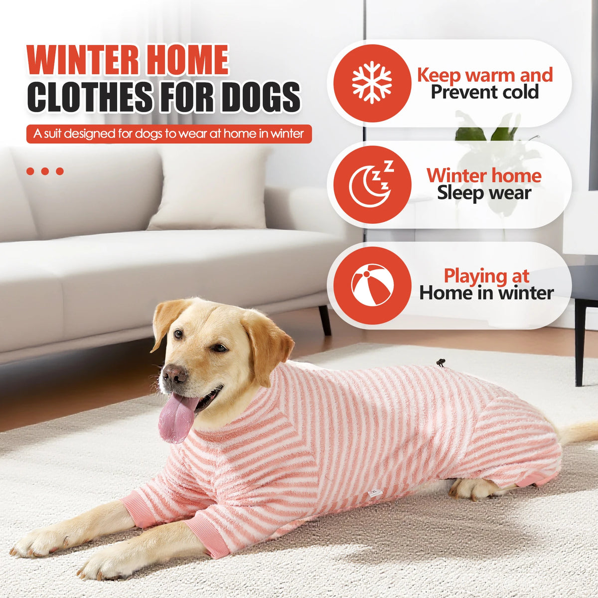 Un perro Labrador dorado vistiendo un traje de invierno de forro rosa y blanco a la rayas, en interiores.