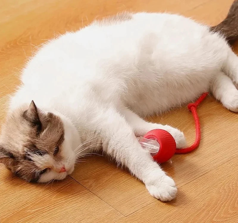 A white and gray cat is lying on a wooden floor next to a red interactive cat toy ball.