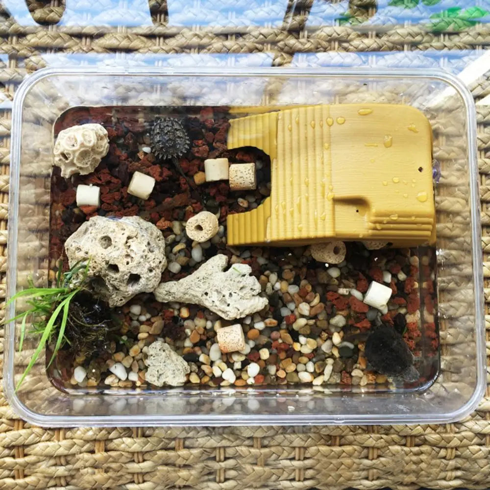 A clear plastic container holds a reptile basking platform with suction cups and various stones for turtles and amphibians.