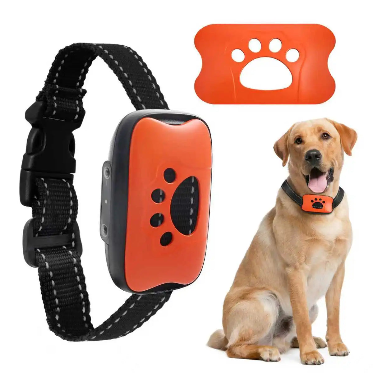 An orange USB rechargeable dog bark collar with a black strap and a paw-shaped component, shown next to a golden retriever.