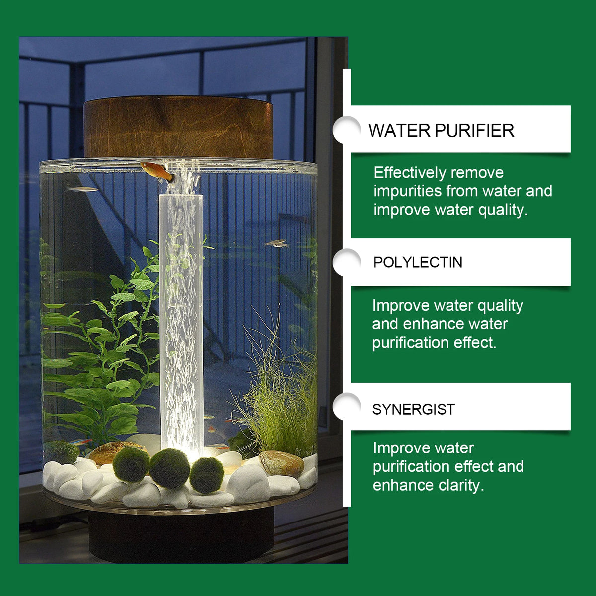 Installation d'aquarium en verre démontrant la purification de l'eau avec un synergiste et une polyélectine pour une meilleur