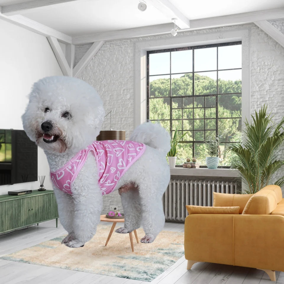 A fluffy white dog wearing a pink heart patterned vest stands in a bright room.