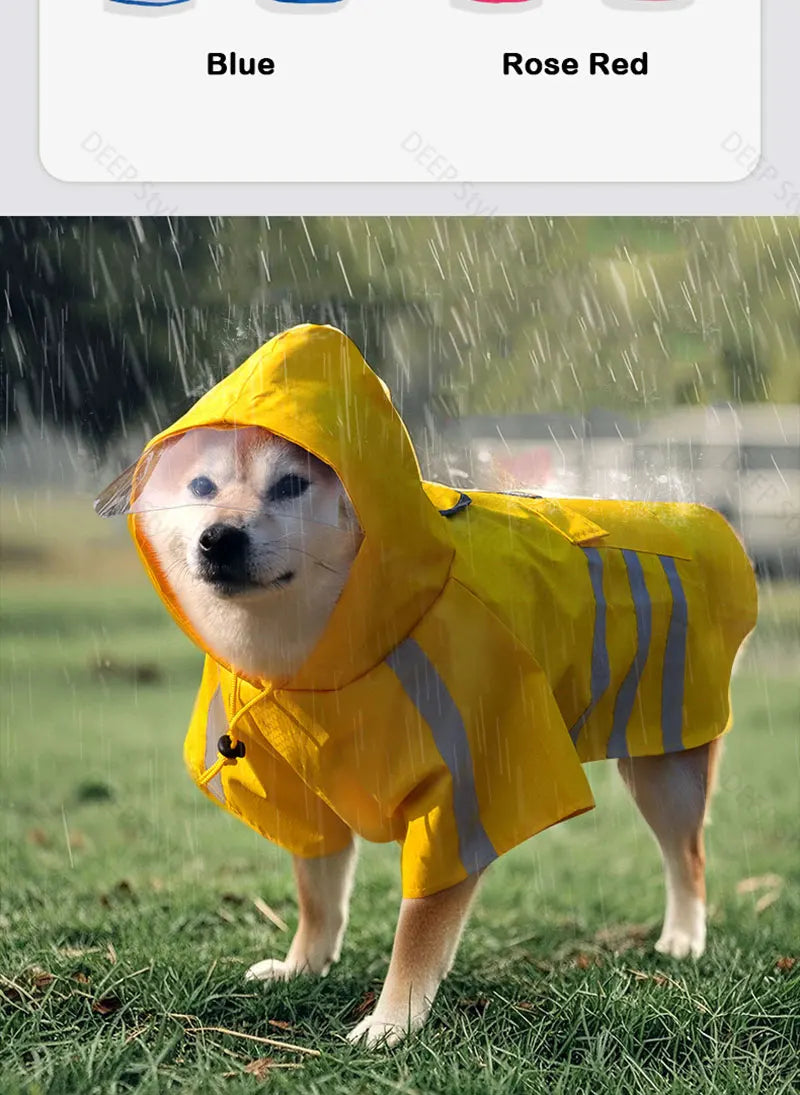Ein goldener Retriever trägt einen gelben, wasserdichten reflektierenden Regenmantel im Regen.