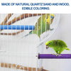 A parrot is perched on a wooden perch inside a wire cage, demonstrating edible coloring.