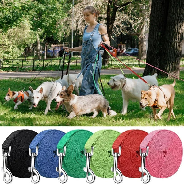 A collection of durable nylon dog training leashes in various colors including black, blue, green, and red.