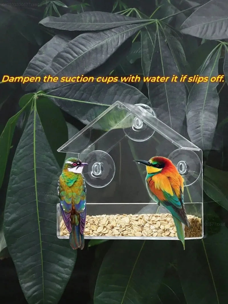 A clear window hanging bird feeder with suction cups, containing bird seed and a small bird.