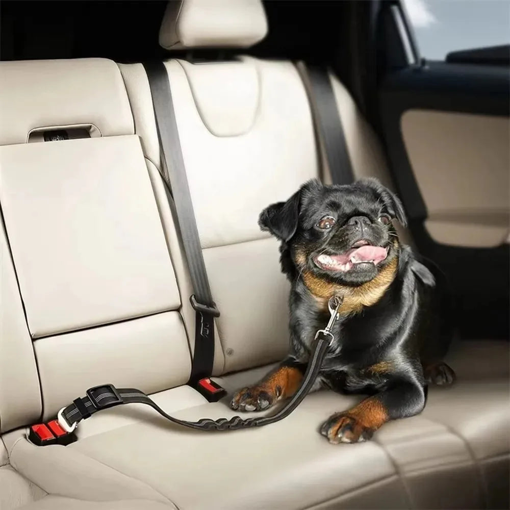 A black pug dog wearing a reflective dog seat belt harness inside a car seat.