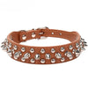 A brown leather dog collar with silver spikes and a buckle closure.