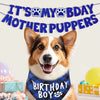 Un perro feliz vistiendo un collar de cumpleaños azul con huellas, contra un banner que dice "It's My Bday Mother Puppers".