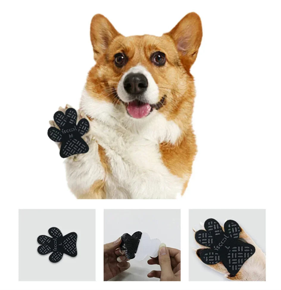 A close-up of a dog's face with black anti-slip paw protectors on its paws.