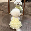 A fluffy white dog wearing a yellow tiered strap dress is reflected in a mirror.