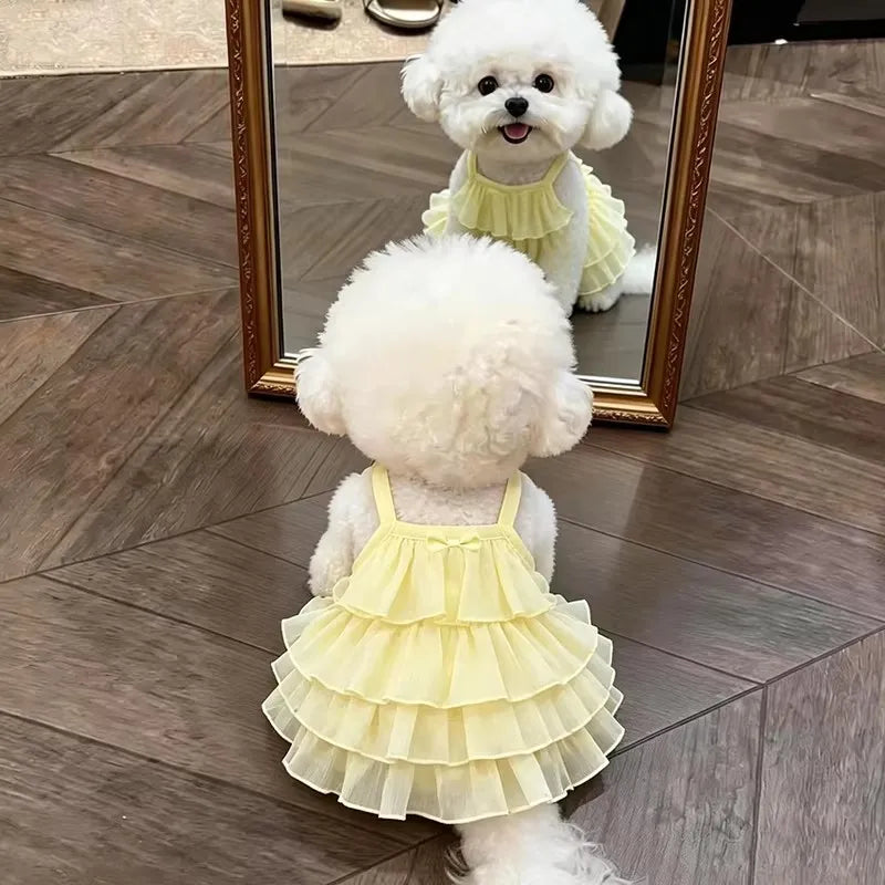 A fluffy white dog wearing a yellow tiered strap dress is reflected in a mirror.