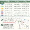 Tableau des tailles d'un singet pour animaux de compagnie, indiquant les mesures du cou, de la poitrine et du dos en centimèt