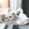 Ein flauschiger weißer Kater ruht auf einem rosa-weißen, strukturierten Katzenbettchen nahe einem hellen Fenster.