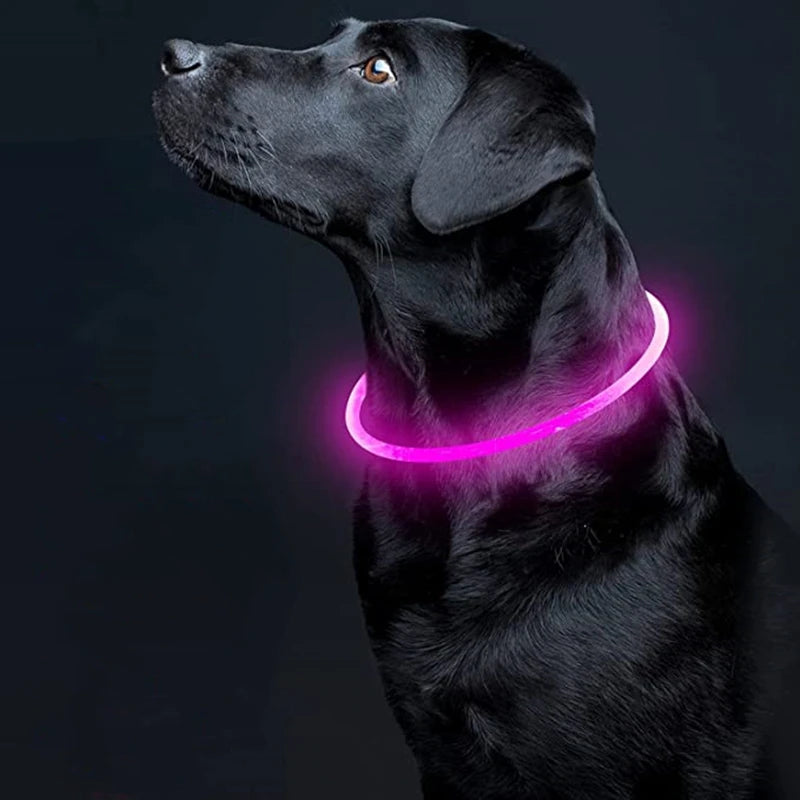 A black dog wearing a glowing pink LED collar against a dark background.