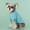 A small, fluffy dog wearing a blue and white striped polo shirt sitting against a light green background.