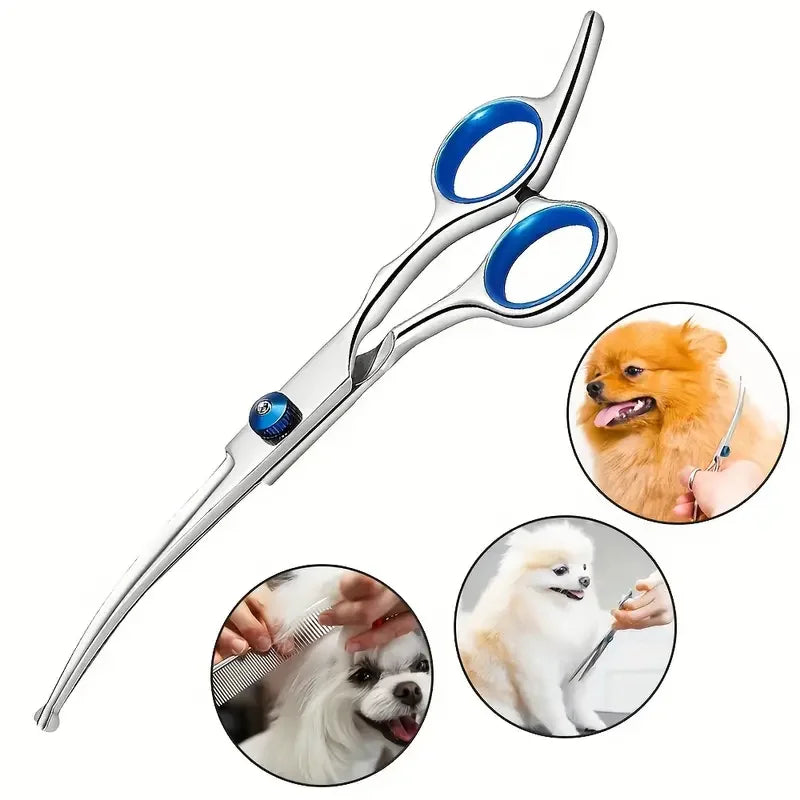A pair of silver titanium dog grooming scissors with blue handles and a grooming comb shown alongside a fluffy dog.