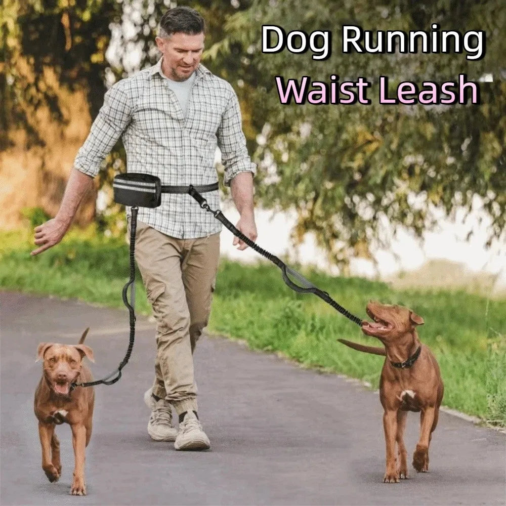 Ein Mann führt einen Hund auf einem Pfad mit einer Hundegangsweste-Leine.