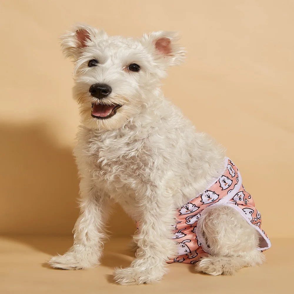 A fluffy white dog wearing reusable female physiological panties.