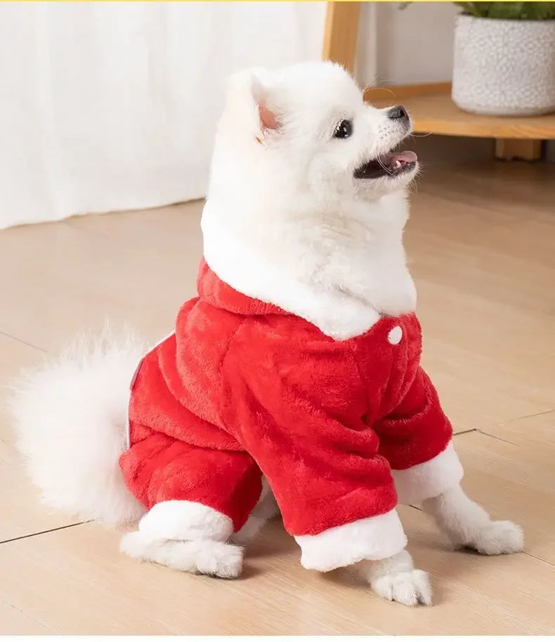 Un perro blanco y esponjoso con un mono peludo rojo sentado en un suelo de madera.