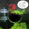 An acrylic aquatic plant pot filled with dark substrate and vibrant red plants, shown next to a clear glass measuring cup.