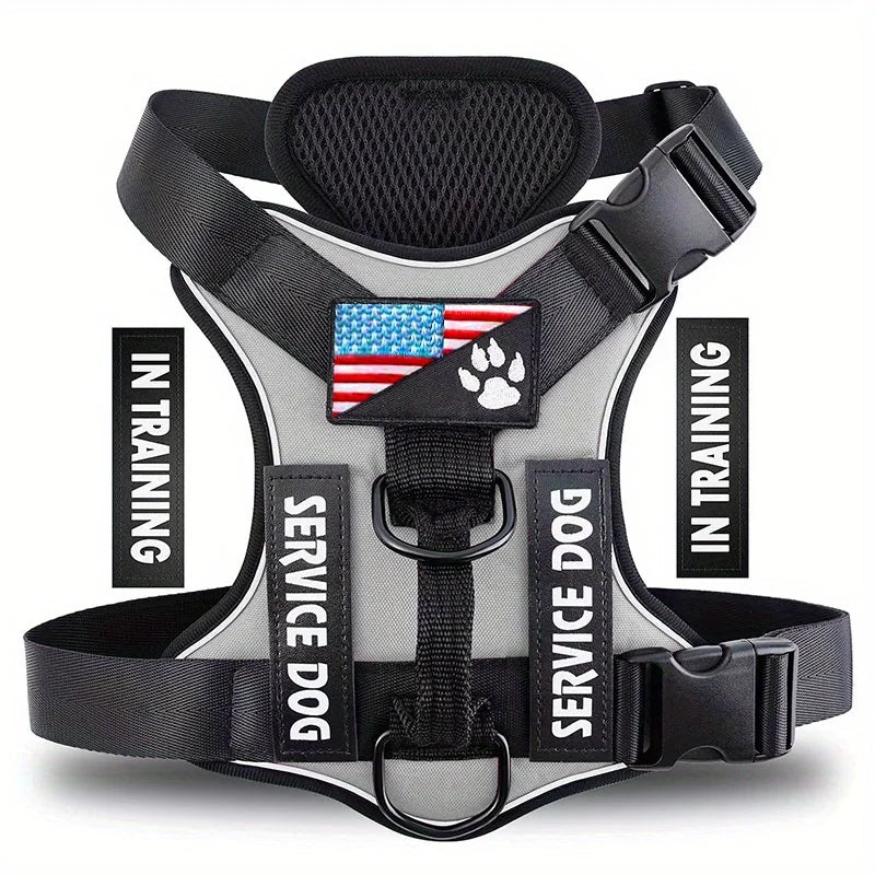 A black and gray harness for a service dog, shown in a studio setting.